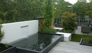 Tips voor een heldere vijver