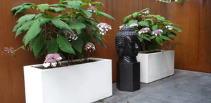 Plantenbakken