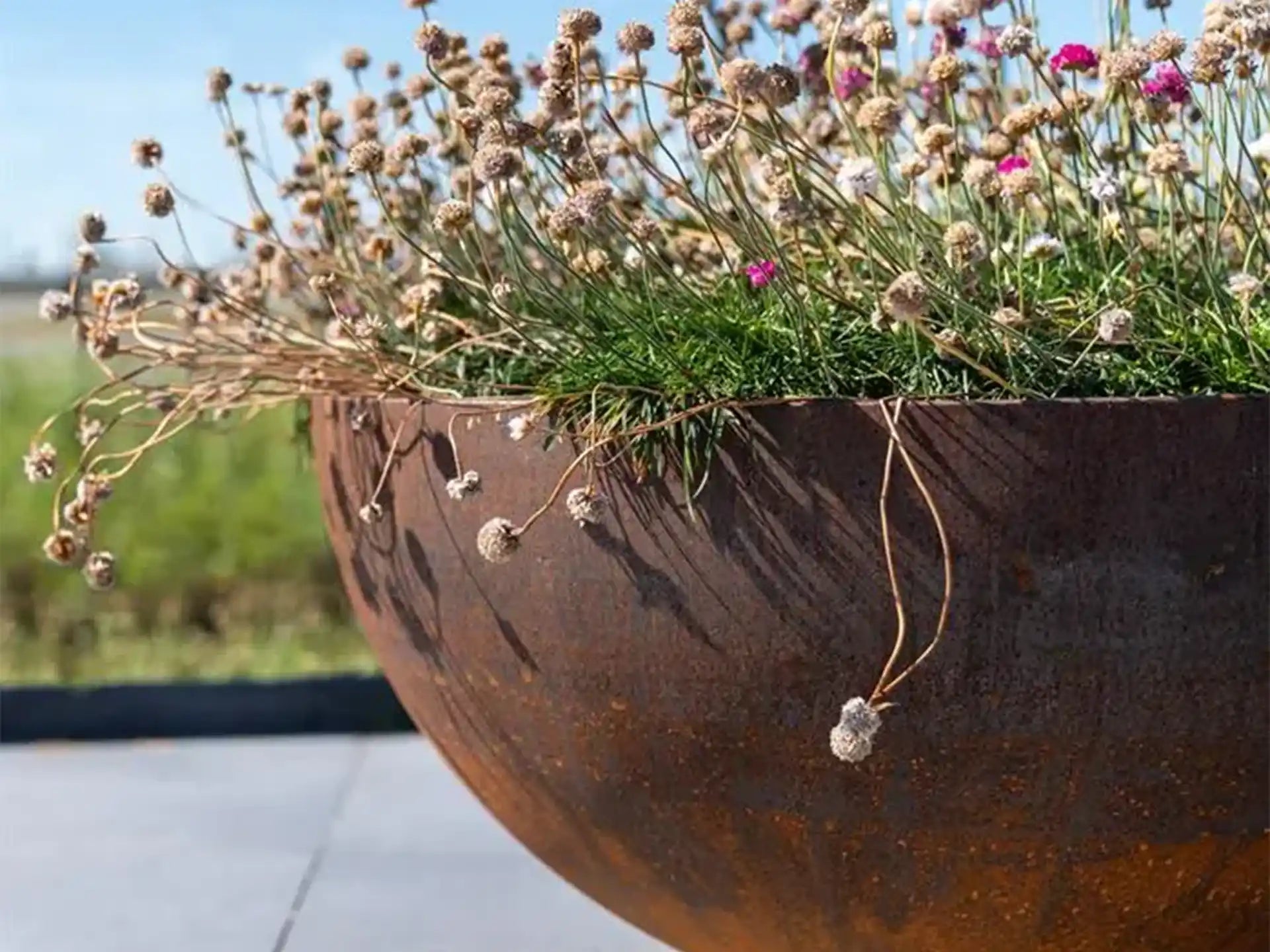 Bocca Adezz Cortenstaal Plantenbak Rond met bodem, gevuld met bloemen en geplaatst in een moderne buitenruimte.