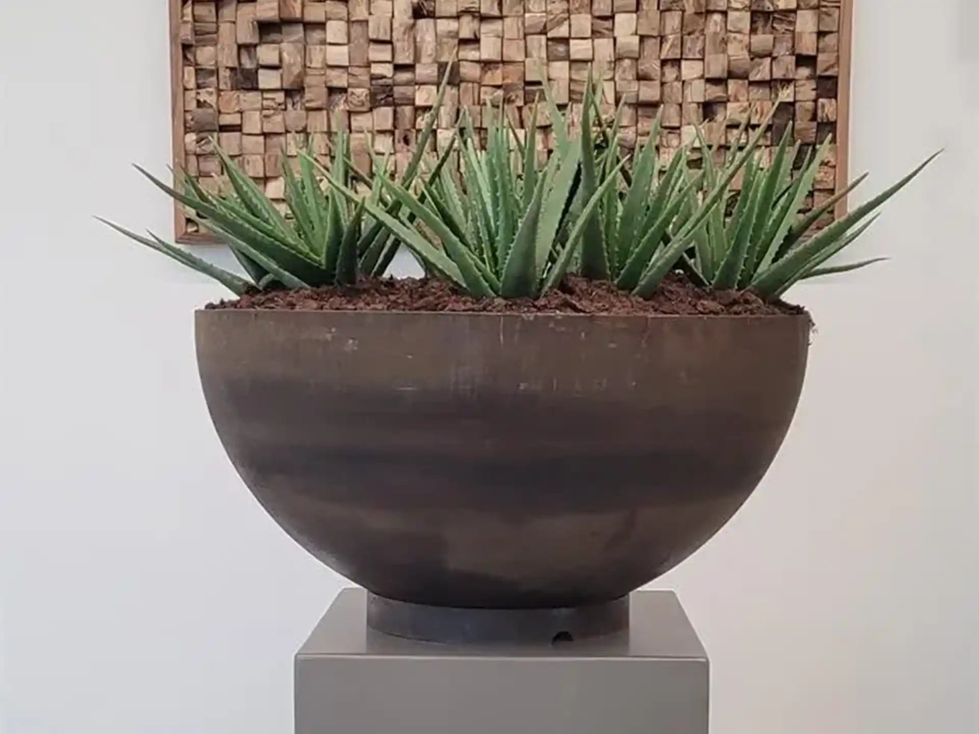 Bocca Adezz Cortenstaal Plantenbak Rond met bodem, gevuld met groene planten en geplaatst op een sokkel in een interieur.