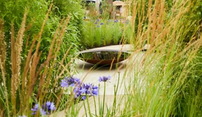 Adezz waterschaal van cortenstaal of gecoat staal? Hulp bij jouw keuze!