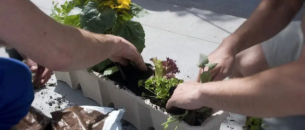 Een nieuwe grote plantenbak? Zo vul je deze!