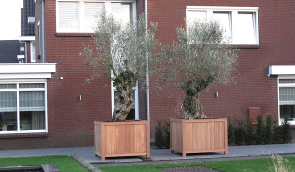 Hardhouten plantenbakken van het seizoen 2025