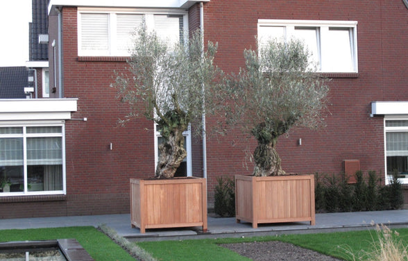 Hardhouten plantenbakken van het seizoen 2025