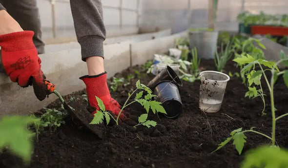 Een moestuin op het balkon? Het kan met deze groente- en fruitsoorten!