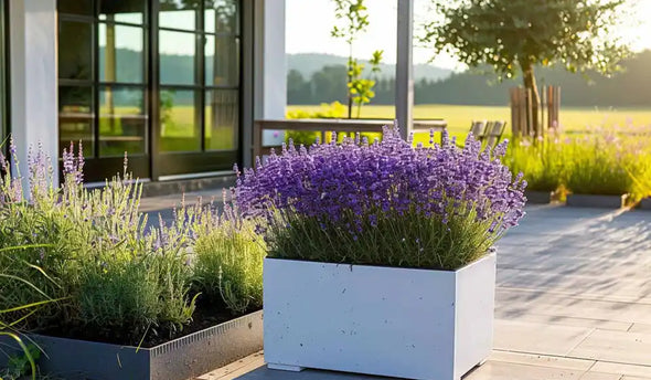 Zo onderhoud je een polyester plantenbak: tips en tricks