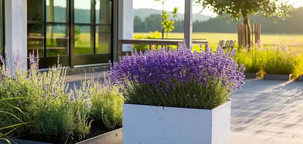 Zo onderhoud je een polyester plantenbak: tips en tricks
