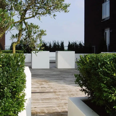 Hoe plaats, beplant en onderhoud je een polyester plantenbak?