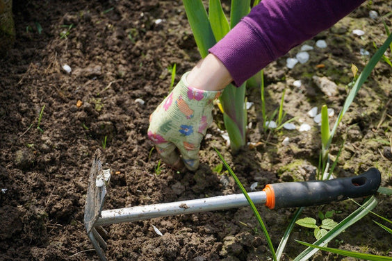Je tuin zomerklaar maken; 5 tips!