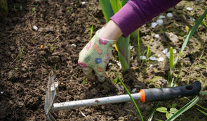 Je tuin zomerklaar maken; 5 tips!