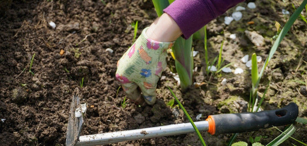 Je tuin zomerklaar maken; 5 tips!