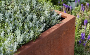 Plantenbak zonder Bodem