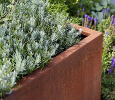 Plantenbak zonder Bodem