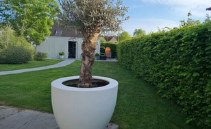 Ronde Plantenbak