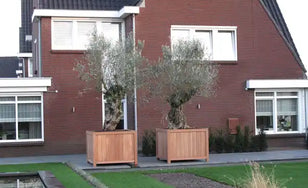 Goedkope Plantenbak