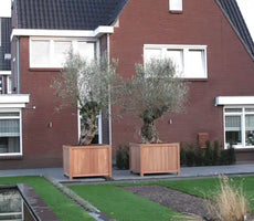 Goedkope Plantenbak