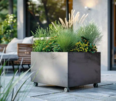 Plantenbak op Wielen