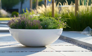 Plantenbak Schalen