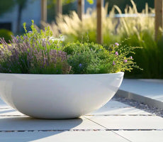 Plantenbak Schalen