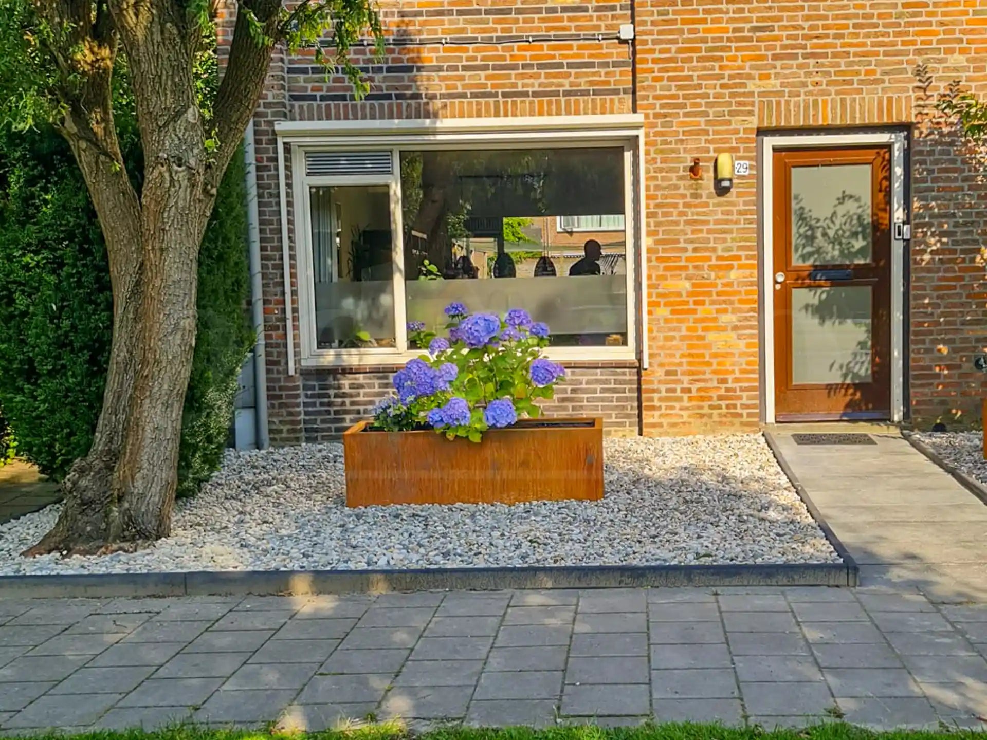 Voortuin met een rechthoekige cortenstalen plantenbak van Adeqo, gevuld met paarse hortensia’s, geplaatst op een ondergrond van witte sierstenen naast een boom.