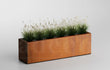Adeqo cortenstalen plantenbak 120x30x35 cm gevuld met siergras.