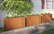 Een hoge cortenstalen plantenbak van 150x40x80 cm gevuld met groene siergrassen met witte pluimen, geplaatst in een moderne tuin naast een betegeld pad en een witte gevel met rode raamkozijnen.