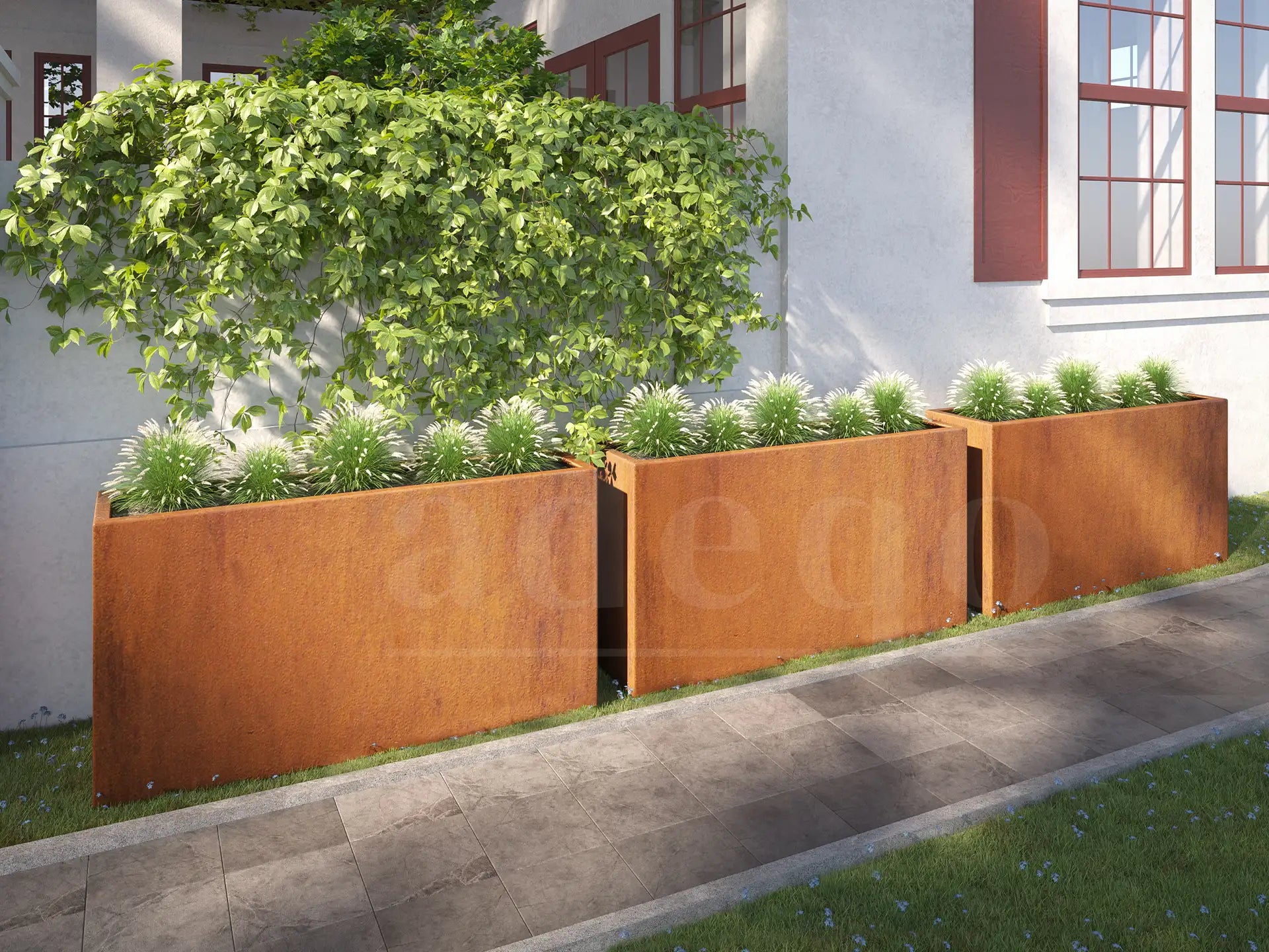 Een hoge cortenstalen plantenbak van 150x40x80 cm gevuld met groene siergrassen met witte pluimen, geplaatst in een moderne tuin naast een betegeld pad en een witte gevel met rode raamkozijnen.