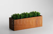 Adeqo plantenbak cortenstaal 150x50x50 cm rechthoekig model, gevuld met lage groene beplanting, gefotografeerd tegen een neutrale achtergrond.