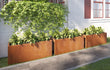 Sfeervolle tuinopstelling met meerdere cortenstalen plantenbakken van 150x50x60 cm langs een gevel. De bakken zijn gevuld met weelderige groene sierplanten en gecombineerd met een strakke bestrating en klimplanten aan de muur voor een moderne en natuurlijke uitstraling.