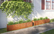 Twee grote cortenstalen plantenbakken 200x40x40 cm langs een gevel met groene klimplanten, perfect voor een stijlvolle en onderhoudsvriendelijke tuin