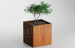 Adeqo cortenstaal plantenbak 70x70x70 cm met kleine boom, minimalistisch design op een neutrale achtergrond.
