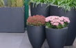 Set van ronde Adezz Canna polyester plantenbakken in donkergrijs, gevuld met sierplanten en bloemen.