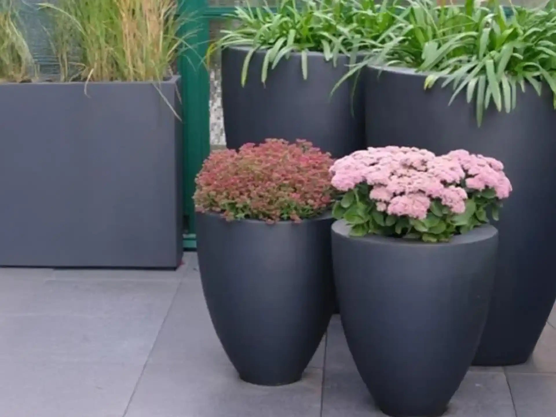 Set van ronde Adezz Canna polyester plantenbakken in donkergrijs, gevuld met sierplanten en bloemen.