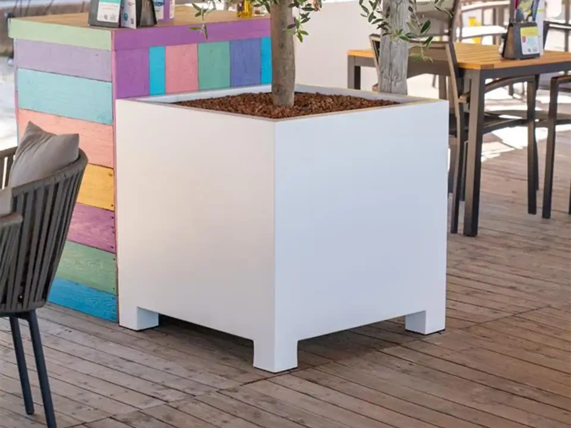 Witte vierkante Adezz Carrez aluminium plantenbak met poten en jonge boom op een houten terras bij kleurrijke wanden.