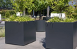 Twee vierkante Adezz Carrez aluminium plantenbakken met wielen op een terras, beplant met groene struiken.