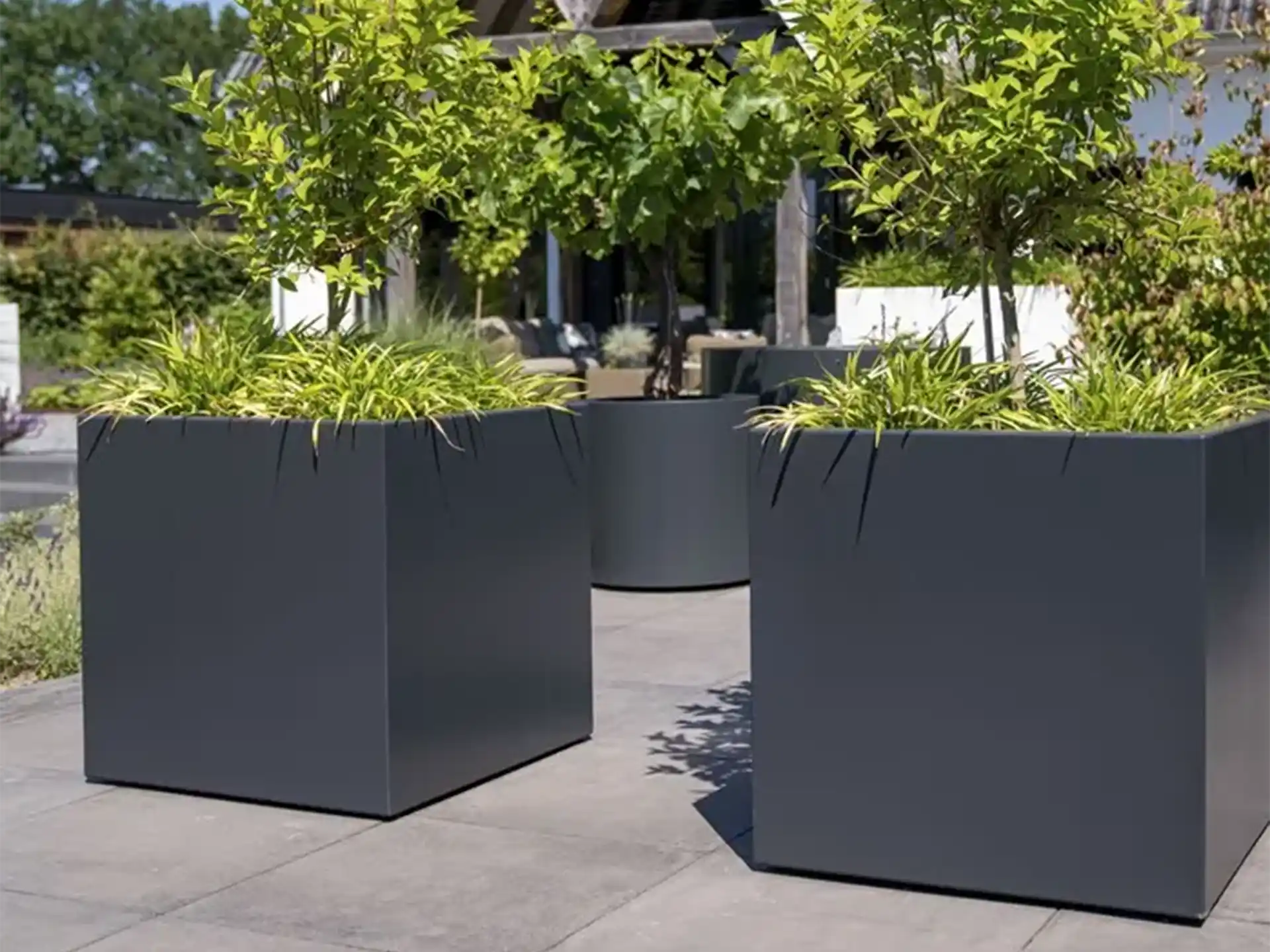 Twee vierkante Adezz Carrez aluminium plantenbakken met wielen op een terras, beplant met groene struiken.