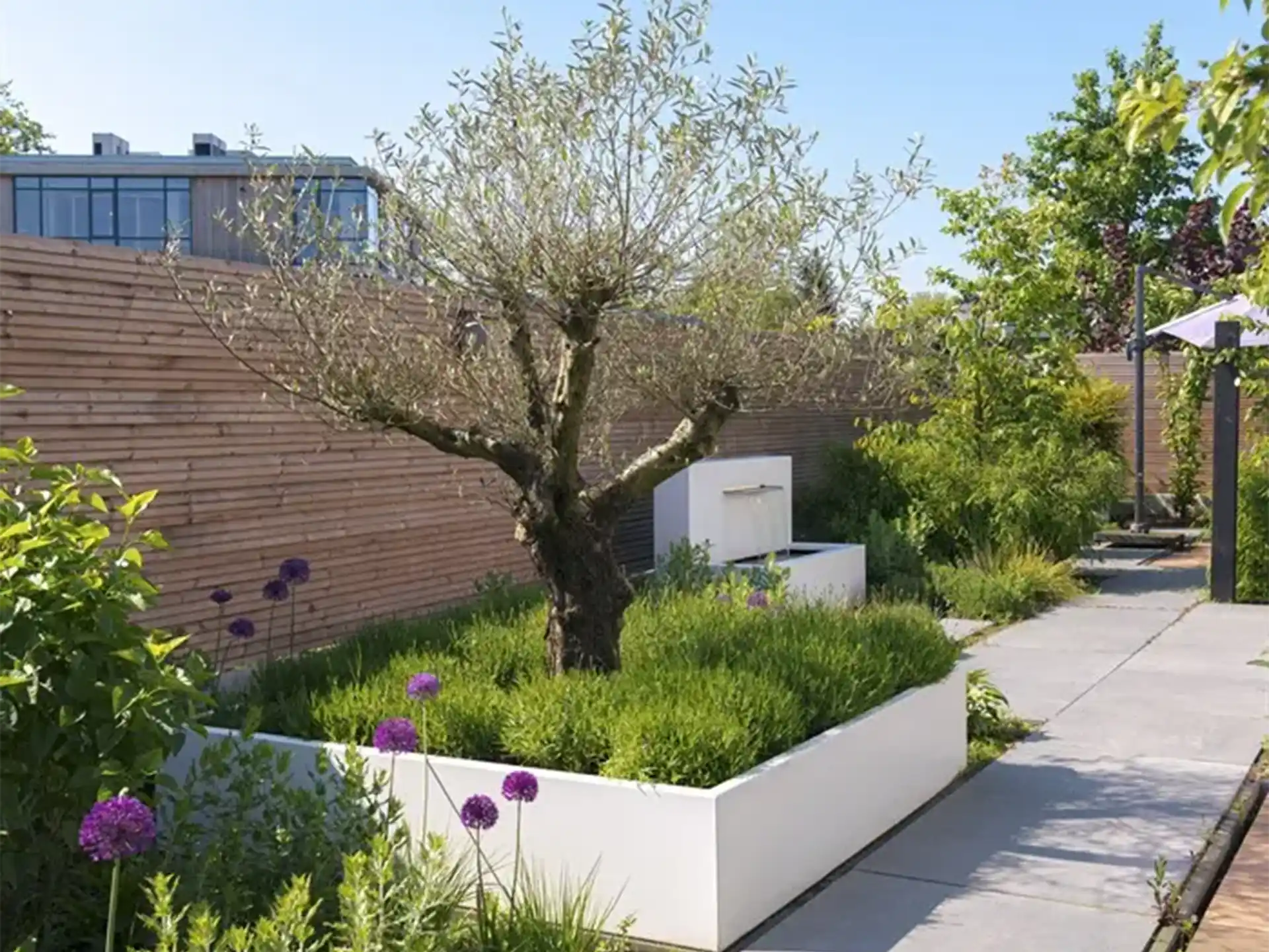 Lange witte Adezz Carrez aluminium plantenbak in een moderne tuin met olijfboom en sierplanten.