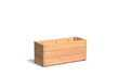 Adezz Carrez Hardhout Plantenbak Rechthoek 100 x 40 x 44 cm met bodem, productfoto op witte achtergrond.