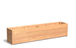 Adezz Carrez Hardhout Plantenbak Rechthoek 200 x 40 x 44 cm met bodem, productfoto op witte achtergrond.