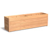 Adezz Carrez Hardhout Plantenbak Rechthoek 200 x 50 x 58 cm met bodem, productfoto op witte achtergrond.