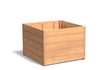Adezz Carrez Hardhout Plantenbak Vierkant 100 x 100 x 72 cm met bodem, productfoto op witte achtergrond.