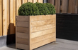 Adezz Carrez hardhouten plantenbak met bodem, gevuld met buxus op een modern terras naast een houten wand.