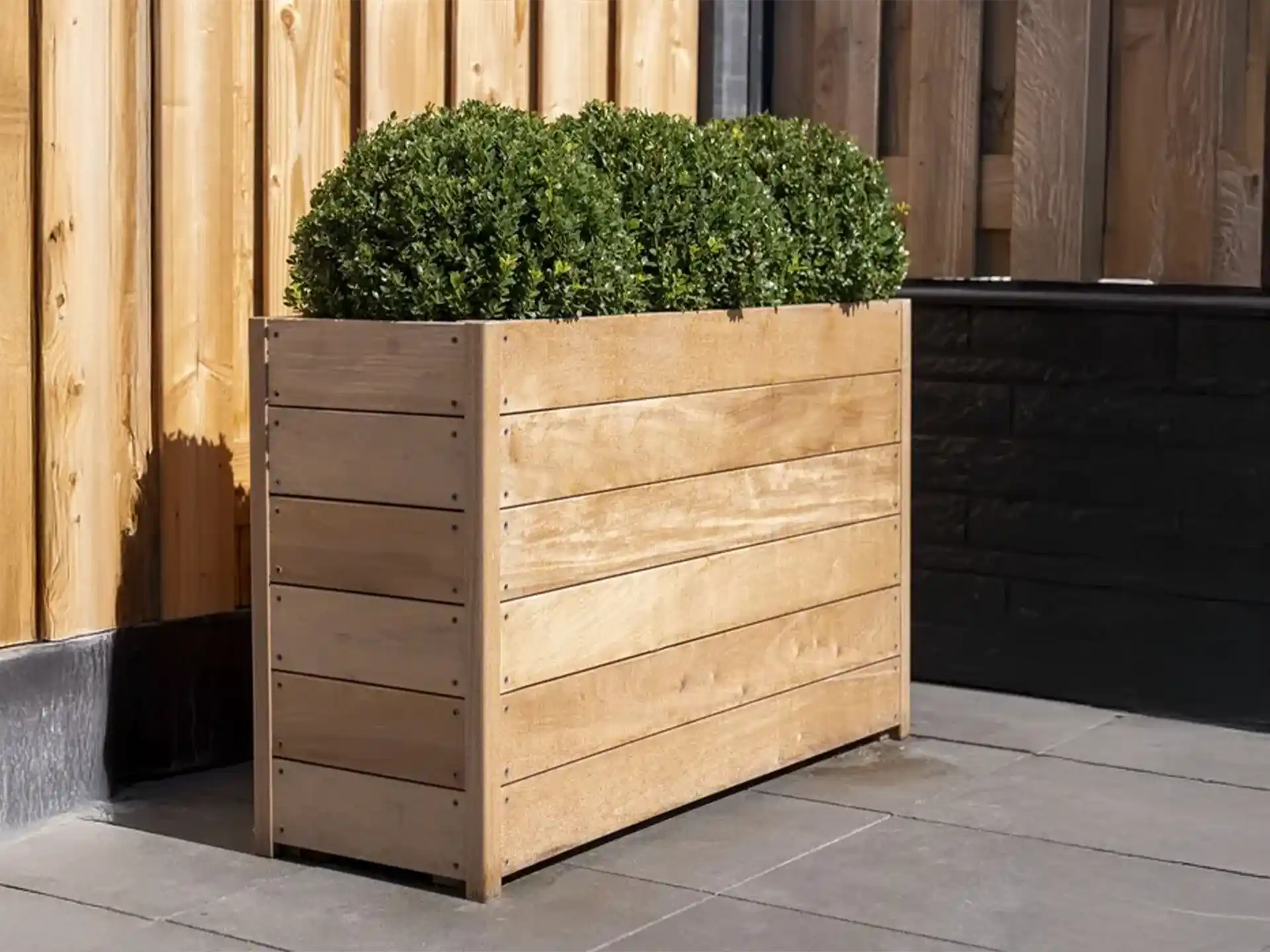 Adezz Carrez hardhouten plantenbak met bodem, gevuld met buxus op een modern terras naast een houten wand.