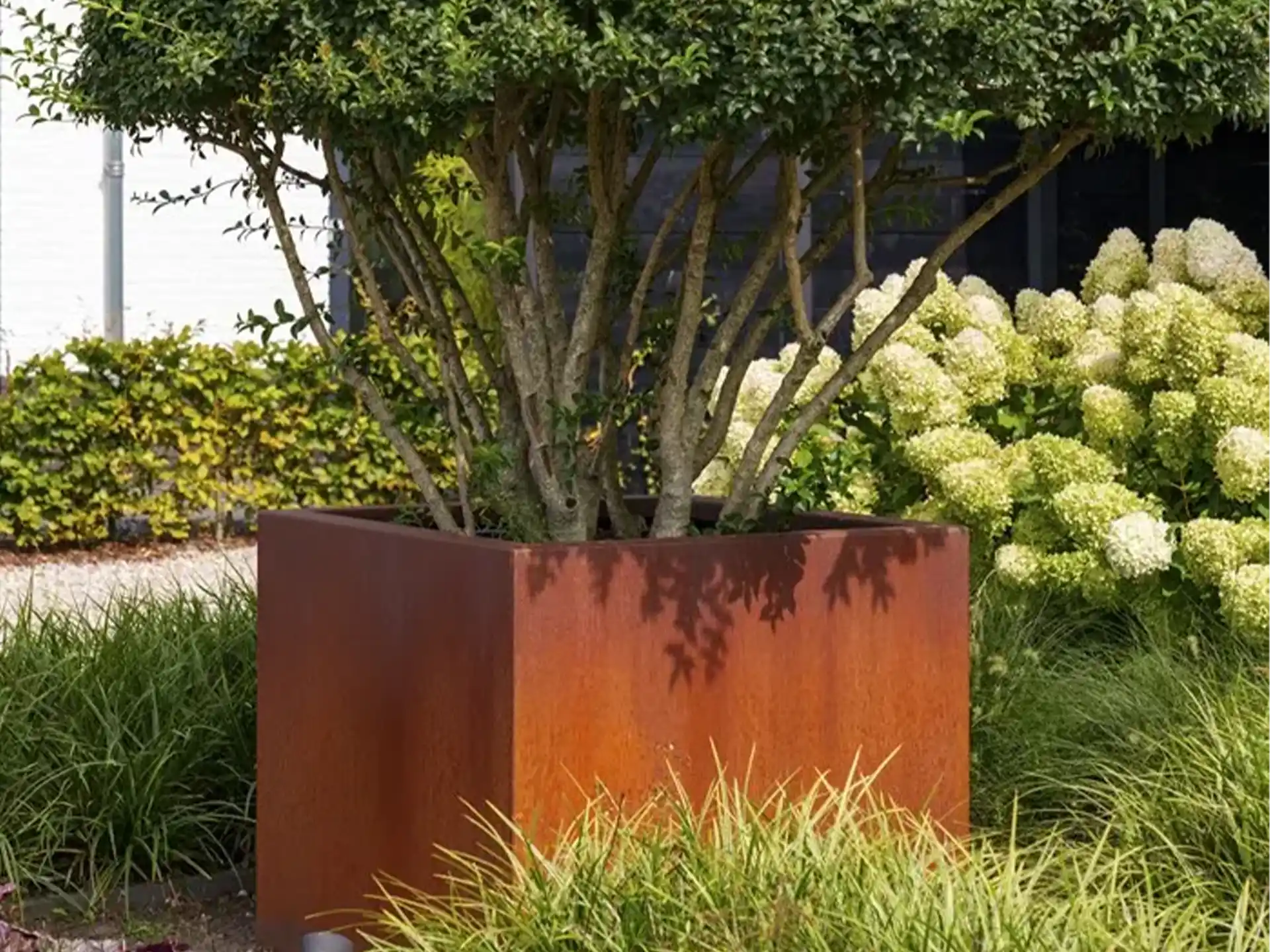 Adezz Carrez Cortenstaal Plantenbak met bodem met een kleine boom en groen, geplaatst in een moderne tuin.