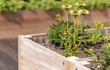 Close-up van de Adezz Carrez hardhouten plantenbak met bodem, beplant met bloemen in een tuin.