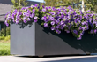 Adezz Carrez polyester plantenbak met wielen in donkergrijs, gevuld met paarse bloemen op een terras.