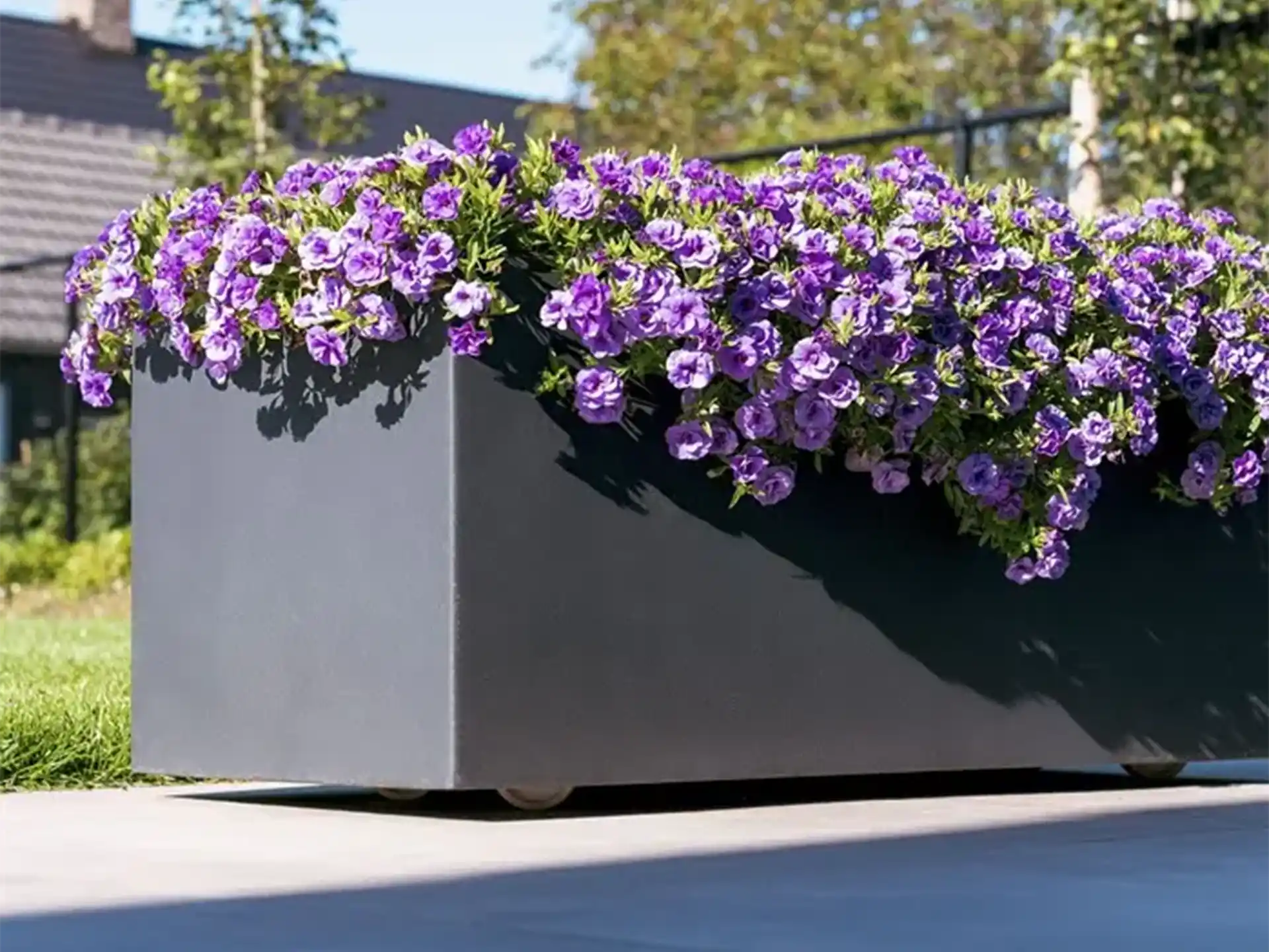Adezz Carrez polyester plantenbak met wielen in donkergrijs, gevuld met paarse bloemen op een terras.