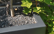 Close-up van Adezz Carrez polyester plantenbak met wielen in donkergrijs, gevuld met grind en een kleine boom.