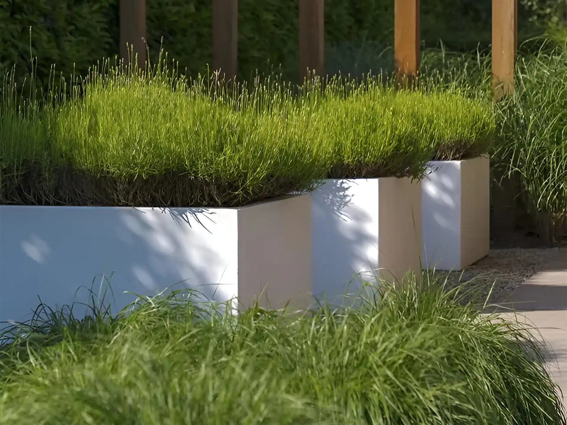Witte Adezz Carrez polyester plantenbak met siergras, toegepast op een terras met houten pergola.