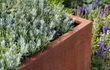 Close-up van de Adezz Carrez Cortenstaal Plantenbak Rechthoek met wielen, gevuld met sierplanten en lavendel in een tuin.